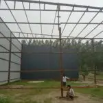 whatsapp image 2025 12 12 at 8.56.39 am