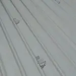 whatsapp image 2025 12 12 at 8.56.42 am (1)